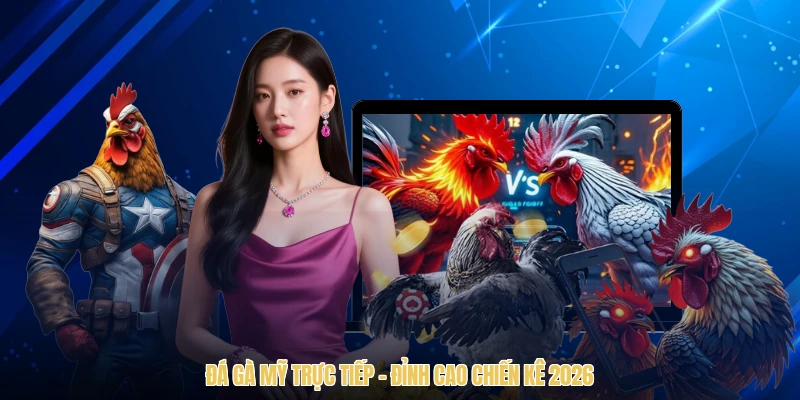 Đá Gà Mỹ Trực Tiếp - Đỉnh Cao Chiến Kê 2026