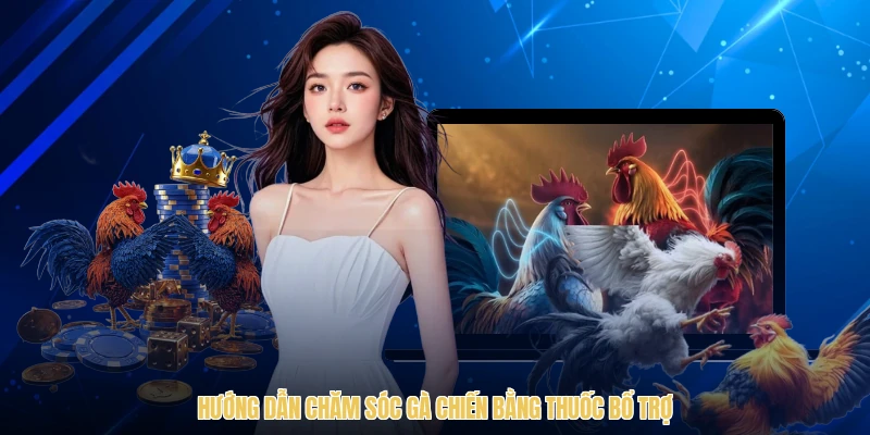 Hướng dẫn chăm sóc gà chiến bằng thuốc bổ trợ