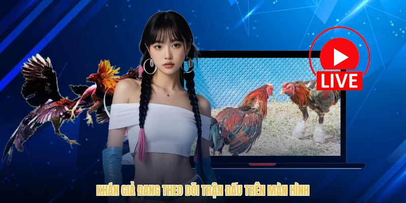 Khán giả đang theo dõi trận đấu trên màn hình