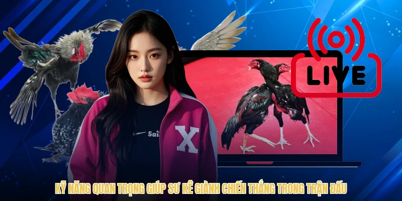 Kỹ năng quan trọng giúp sư kê giành chiến thắng trong trận đấu