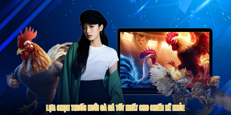 Lựa chọn thuốc nuôi gà đá tốt nhất cho chiến kê khỏe