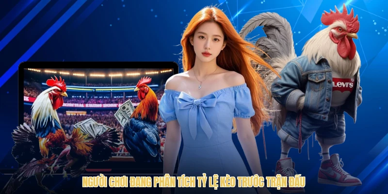 Người chơi đang phân tích tỷ lệ kèo trước trận đấu