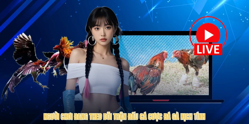 Người chơi đang theo dõi trận đấu cá cược đá gà kịch tính
