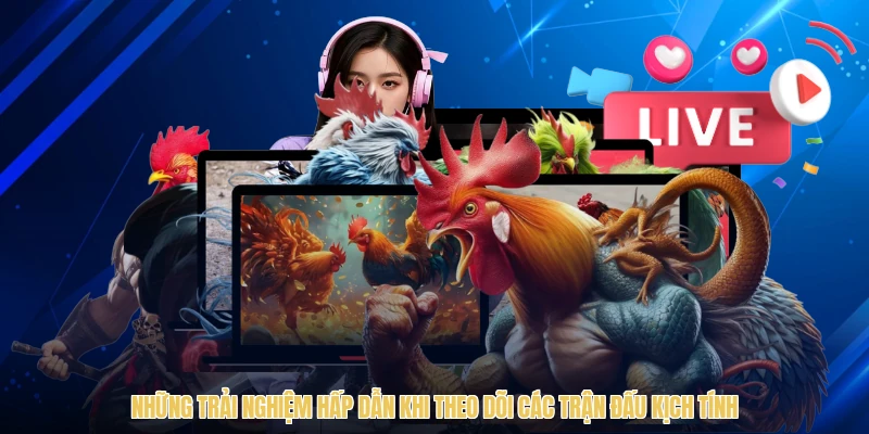 Những trải nghiệm hấp dẫn khi theo dõi các trận đấu kịch tính