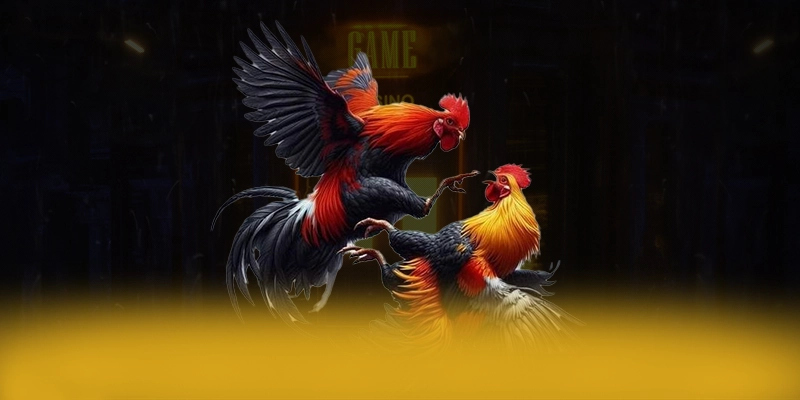Điểm khác biệt của 8xbet trên thị trường Điểm khác biệt của 8xbet trên thị trường